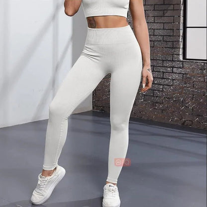 High Waist Seamless Knit Yoga Pants for Women - dellidu.com - purple - High Waist Seamless Knit Yoga Pants for Women - M - High Waist Seamless Knit Yoga Pants for Women - 14:1254#purple;5:361386 - dellidu.com